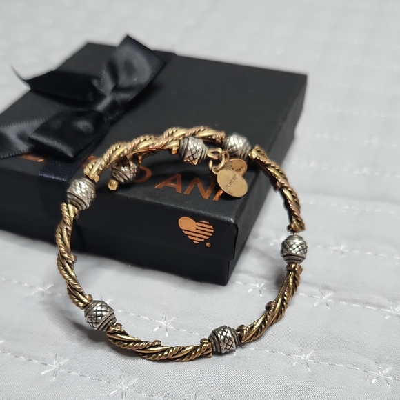 Alex and Ani Twisted Gold and Silver Bracelet - Picture 1 of 7